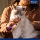 Vitakraft Drink, Liquid Cat Treat, Cat Snack for Balanced Liquid Household, with Salmon, in Individual Sachets, No Added Sugar (5 x 30 g) Vitakraft Drink, Liquid Cat Treat, Cat Snack for Balanced Liquid Household, with Salmon, in Individual Sachets, No Added Sugar (5 x 30 g)
