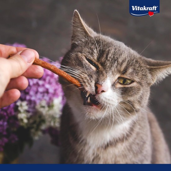Vitakraft Pure Stick, Cat Treat, Meaty Stick, with Chicken, Individual Sticks, Also for Nutritionally Sensitive Cats, No Added Sugar (1 x 20 g) Vitakraft Pure Stick, Cat Treat, Meaty Stick, with Chicken, Individual Sticks, Also for Nutritionally Sensitive Cats, No Added Sugar (1 x 20 g)