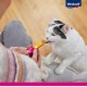 Vitakraft Pure Stick, Cat Treat, Meaty Stick, with Chicken, Individual Sticks, Also for Nutritionally Sensitive Cats, No Added Sugar (1 x 20 g) Vitakraft Pure Stick, Cat Treat, Meaty Stick, with Chicken, Individual Sticks, Also for Nutritionally Sensitive Cats, No Added Sugar (1 x 20 g)