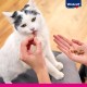 Vitakraft Triggles, Cat Treat, Soft Cat Snack, with Turkey, Storage Size, No Added Sugar (9 x 40 g) Vitakraft Triggles, Cat Treat, Soft Cat Snack, with Turkey, Storage Size, No Added Sugar (9 x 40 g)