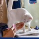 Vitakraft crunchy cubes cat snack Vitakraft crunchy cubes cat snack