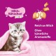 WHISKAS Anti-Hairball Cat Snacks 6 x 50g - Delicious Snacks Against Hairballs for Healthy Fur WHISKAS Anti-Hairball Cat Snacks 6 x 50g - Delicious Snacks Against Hairballs for Healthy Fur
