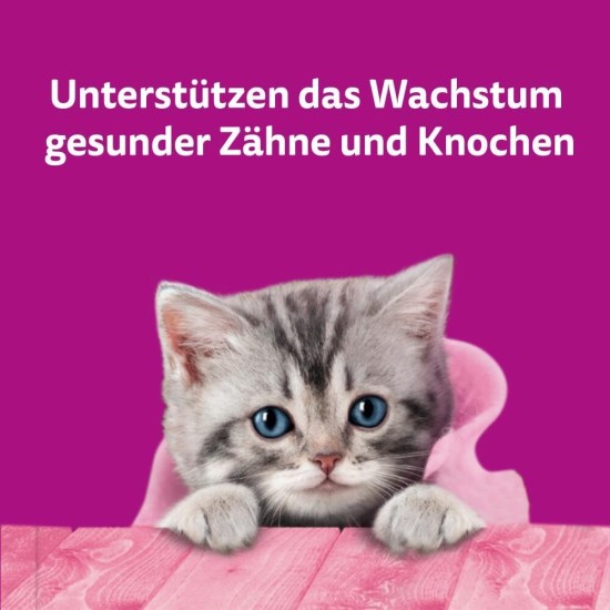 WHISKAS Anti-Hairball Cat Snacks 6 x 50g - Delicious Snacks Against Hairballs for Healthy Fur WHISKAS Anti-Hairball Cat Snacks 6 x 50g - Delicious Snacks Against Hairballs for Healthy Fur