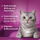 WHISKAS Anti-Hairball Cat Snacks 6 x 50g - Delicious Snacks Against Hairballs for Healthy Fur WHISKAS Anti-Hairball Cat Snacks 6 x 50g - Delicious Snacks Against Hairballs for Healthy Fur