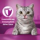 WHISKAS Anti-Hairball Cat Snacks 6 x 50g - Delicious Snacks Against Hairballs for Healthy Fur WHISKAS Anti-Hairball Cat Snacks 6 x 50g - Delicious Snacks Against Hairballs for Healthy Fur