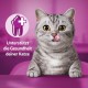 WHISKAS Anti-Hairball Cat Snacks 6 x 50g - Delicious Snacks Against Hairballs for Healthy Fur WHISKAS Anti-Hairball Cat Snacks 6 x 50g - Delicious Snacks Against Hairballs for Healthy Fur