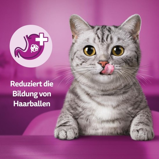 WHISKAS Anti-Hairball Cat Snacks 6 x 50g - Delicious Snacks Against Hairballs for Healthy Fur WHISKAS Anti-Hairball Cat Snacks 6 x 50g - Delicious Snacks Against Hairballs for Healthy Fur