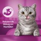 WHISKAS Anti-Hairball Cat Snacks 6 x 50g - Delicious Snacks Against Hairballs for Healthy Fur WHISKAS Anti-Hairball Cat Snacks 6 x 50g - Delicious Snacks Against Hairballs for Healthy Fur