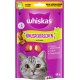 WHISKAS Crispy Bags Cat Snacks Chicken & Cheese 6 x 60 g - Snacks with Chicken and Cheese for Cats