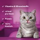 WHISKAS Crispy Bags Cat Snacks Chicken & Cheese 6 x 60 g - Snacks with Chicken and Cheese for Cats