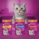 WHISKAS® KNUSPERTASCHEN™ Snack Mixing Box 3 Varieties 18VBE WHISKAS® KNUSPERTASCHEN™ Snack Mixing Box 3 Varieties 18VBE