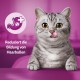 WHISKAS Milk Kitten Cat Snacks 2-12 Months 6 x 50 g - Special Snacks for Kittens with Milk Flavour WHISKAS Milk Kitten Cat Snacks 2-12 Months 6 x 50 g - Special Snacks for Kittens with Milk Flavour