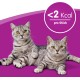 Whiskas Crispy Bags Cat Snacks with Chicken and Cheese 4x 180 g (4 Packs) – Various Product Packages Available Whiskas Crispy Bags Cat Snacks with Chicken and Cheese 4x 180 g (4 Packs) – Various Product Packages Available