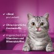 Whiskas Crispy Bags Cat Snacks with Chicken and Cheese 4x 180 g (4 Packs) – Various Product Packages Available Whiskas Crispy Bags Cat Snacks with Chicken and Cheese 4x 180 g (4 Packs) – Various Product Packages Available