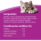 Whiskas Crispy Bags Cat Snacks with Chicken and Cheese 4x 180 g (4 Packs) – Various Product Packages Available Whiskas Crispy Bags Cat Snacks with Chicken and Cheese 4x 180 g (4 Packs) – Various Product Packages Available