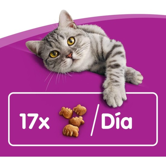 Whiskas Crispy Bags Cat Snacks with Chicken and Cheese 4x 180 g (4 Packs) – Various Product Packages Available Whiskas Crispy Bags Cat Snacks with Chicken and Cheese 4x 180 g (4 Packs) – Various Product Packages Available