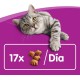 Whiskas Crispy Bags Cat Snacks with Chicken and Cheese 4x 180 g (4 Packs) – Various Product Packages Available Whiskas Crispy Bags Cat Snacks with Chicken and Cheese 4x 180 g (4 Packs) – Various Product Packages Available