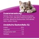 Whiskas Crispy Bags Cat Snacks with Chicken and Cheese 4x 180 g (4 Packs) – Various Product Packages Available Whiskas Crispy Bags Cat Snacks with Chicken and Cheese 4x 180 g (4 Packs) – Various Product Packages Available