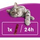 Whiskas Sticks – Chicken Flavoured Cat Snack – Irresistible Taste Experience – Many Vitamins and Minerals – 14 Packs of 36 g Whiskas Sticks – Chicken Flavoured Cat Snack – Irresistible Taste Experience – Many Vitamins and Minerals – 14 Packs of 36 g