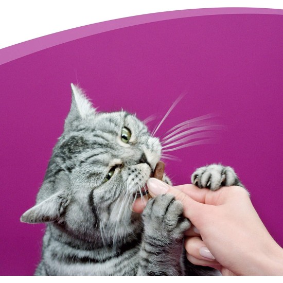 Whiskas Sticks – Chicken Flavoured Cat Snack – Irresistible Taste Experience – Many Vitamins and Minerals – 14 Packs of 36 g Whiskas Sticks – Chicken Flavoured Cat Snack – Irresistible Taste Experience – Many Vitamins and Minerals – 14 Packs of 36 g