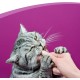 Whiskas Sticks – Chicken Flavoured Cat Snack – Irresistible Taste Experience – Many Vitamins and Minerals – 14 Packs of 36 g Whiskas Sticks – Chicken Flavoured Cat Snack – Irresistible Taste Experience – Many Vitamins and Minerals – 14 Packs of 36 g