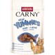 animonda Carny Adult Meat Yummies Chicken + Salmon (10 x 50 g), Soft Premium Cat Snack for Adults Cats with Lots of Fresh Meat and Fish animonda Carny Adult Meat Yummies Chicken + Salmon (10 x 50 g), Soft Premium Cat Snack for Adults Cats with Lots of Fresh Meat and Fish