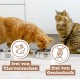 catz finefood Meatz Cat Treats Essential Mix – Crispy Strips from the Most Popular Meat – Cat Snack for Allergy Sufferers without Sugar, Grain-Free (1 x 45 g) catz finefood Meatz Cat Treats Essential Mix – Crispy Strips from the Most Popular Meat – Cat Snack for Allergy Sufferers without Sugar, Grain-Free (1 x 45 g)
