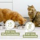 catz finefood Meatz Cat Treats Essential Mix – Crispy Strips from the Most Popular Meat – Cat Snack for Allergy Sufferers without Sugar, Grain-Free (1 x 45 g) catz finefood Meatz Cat Treats Essential Mix – Crispy Strips from the Most Popular Meat – Cat Snack for Allergy Sufferers without Sugar, Grain-Free (1 x 45 g)