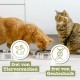 catz finefood Meatz Cat Treats Essential Mix – Crispy Strips from the Most Popular Meat – Cat Snack for Allergy Sufferers without Sugar, Grain-Free (1 x 45 g) catz finefood Meatz Cat Treats Essential Mix – Crispy Strips from the Most Popular Meat – Cat Snack for Allergy Sufferers without Sugar, Grain-Free (1 x 45 g)