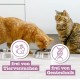 catz finefood Meatz Cat Treats Essential Mix – Crispy Strips from the Most Popular Meat – Cat Snack for Allergy Sufferers without Sugar, Grain-Free (1 x 45 g) catz finefood Meatz Cat Treats Essential Mix – Crispy Strips from the Most Popular Meat – Cat Snack for Allergy Sufferers without Sugar, Grain-Free (1 x 45 g)