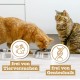 catz finefood Meatz Cat Treats Essential Mix – Crispy Strips from the Most Popular Meat – Cat Snack for Allergy Sufferers without Sugar, Grain-Free (1 x 45 g) catz finefood Meatz Cat Treats Essential Mix – Crispy Strips from the Most Popular Meat – Cat Snack for Allergy Sufferers without Sugar, Grain-Free (1 x 45 g)