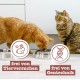 catz finefood Meatz Cat Treats Essential Mix – Crispy Strips from the Most Popular Meat – Cat Snack for Allergy Sufferers without Sugar, Grain-Free (1 x 45 g) catz finefood Meatz Cat Treats Essential Mix – Crispy Strips from the Most Popular Meat – Cat Snack for Allergy Sufferers without Sugar, Grain-Free (1 x 45 g)