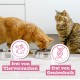 catz finefood Meatz Cat Treats Essential Mix – Crispy Strips from the Most Popular Meat – Cat Snack for Allergy Sufferers without Sugar, Grain-Free (1 x 45 g) catz finefood Meatz Cat Treats Essential Mix – Crispy Strips from the Most Popular Meat – Cat Snack for Allergy Sufferers without Sugar, Grain-Free (1 x 45 g)