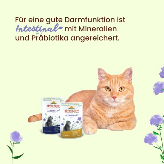 Almo Nature Cat Food Cat Functional Bag Digestive with fish, 30 x 70 g Almo Nature Cat Food Cat Functional Bag Digestive with fish, 30 x 70 g