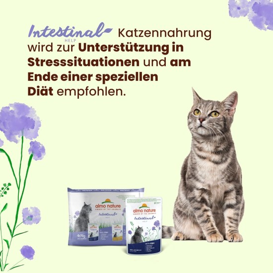 Almo Nature Cat Food Cat Functional Bag Digestive with fish, 30 x 70 g Almo Nature Cat Food Cat Functional Bag Digestive with fish, 30 x 70 g