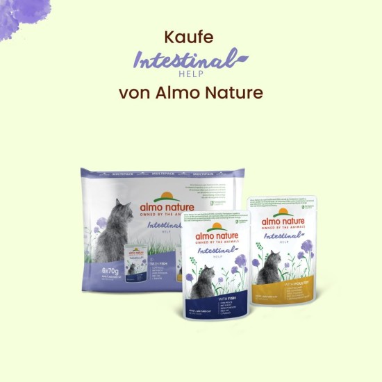 Almo Nature Cat Food Cat Functional Bag Digestive with fish, 30 x 70 g Almo Nature Cat Food Cat Functional Bag Digestive with fish, 30 x 70 g