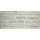 Almo Nature Daily Wet Food for Adults Cats Mousse with Salmon - Tin 24 x 85 g Almo Nature Daily Wet Food for Adults Cats Mousse with Salmon - Tin 24 x 85 g