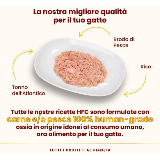 Almo Nature HFC Natural Light Meal Katzenfutter für ausgewachsene Katzen- Thunfisch und Garnelen 50 g x 4 stück, 200 g Almo Nature HFC Natural Light Meal Katzenfutter für ausgewachsene Katzen- Thunfisch und Garnelen 50 g x 4 stück, 200 g