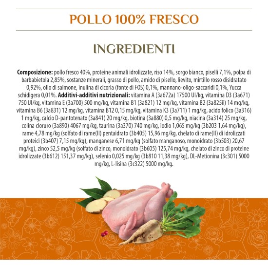 Almo Nature HFC Sterilisiertes Huhn-komplettes Trockenfutter für ausgewachsene Katzen mit 100% HFC frischem Huhn, 1,2 kg Beutel Almo Nature HFC Sterilisiertes Huhn-komplettes Trockenfutter für ausgewachsene Katzen mit 100% HFC frischem Huhn, 1,2 kg Beutel