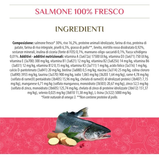 Almo Nature HFC Sterilisiertes Huhn-komplettes Trockenfutter für ausgewachsene Katzen mit 100% HFC frischem Huhn, 1,2 kg Beutel Almo Nature HFC Sterilisiertes Huhn-komplettes Trockenfutter für ausgewachsene Katzen mit 100% HFC frischem Huhn, 1,2 kg Beutel