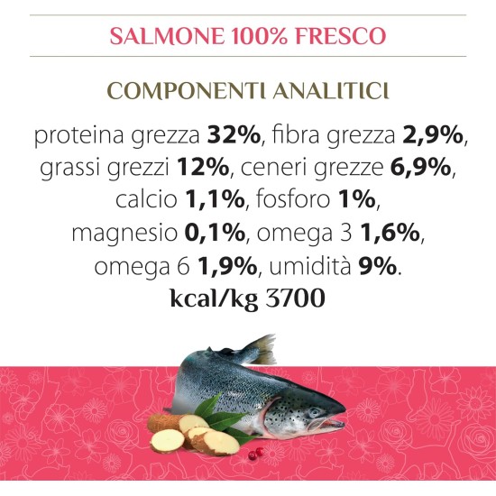 Almo Nature HFC Sterilisiertes Huhn-komplettes Trockenfutter für ausgewachsene Katzen mit 100% HFC frischem Huhn, 1,2 kg Beutel Almo Nature HFC Sterilisiertes Huhn-komplettes Trockenfutter für ausgewachsene Katzen mit 100% HFC frischem Huhn, 1,2 kg Beutel