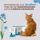 Almo Nature Holistic Sterilised Katzenfutter, Nassfutter für ausgewachsene Katzen mit Thunfisch. 30er Pack (30 x 70g) Almo Nature Holistic Sterilised Katzenfutter, Nassfutter für ausgewachsene Katzen mit Thunfisch. 30er Pack (30 x 70g)
