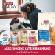 Animonda Carny Adult Cat Food - Wet food for adult cats, customisable Animonda Carny Adult Cat Food - Wet food for adult cats, customisable