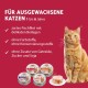 Animonda Carny Ocean Adult Cat Wet Food - Various Flavours, 1