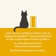 Applaws 100% Natural Grain-Free Creamy Salmon Snack for Cats and Kittens 32 x 15g Bags Applaws 100% Natural Grain-Free Creamy Salmon Snack for Cats and Kittens 32 x 15g Bags