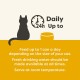Applaws 100% Natural Premium Wet Cat Food, Chicken Selection Multipack in Broth - Pack of 12 x 156g Cans Applaws 100% Natural Premium Wet Cat Food, Chicken Selection Multipack in Broth - Pack of 12 x 156g Cans