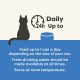 Applaws 100% Natural Premium Wet Cat Food Tuna Fillet in Broth - Pack of 24 x 156g Cans Applaws 100% Natural Premium Wet Cat Food Tuna Fillet in Broth - Pack of 24 x 156g Cans