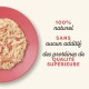 Applaws 100% Natural Premium Wet Cat Food in Broth for Adult Cats - Tuna, Chicken, Sea Fish Mixed Selection in Broth - Pack of 12 x 70g Cans Applaws 100% Natural Premium Wet Cat Food in Broth for Adult Cats - Tuna, Chicken, Sea Fish Mixed Selection in Broth - Pack of 12 x 70g Cans