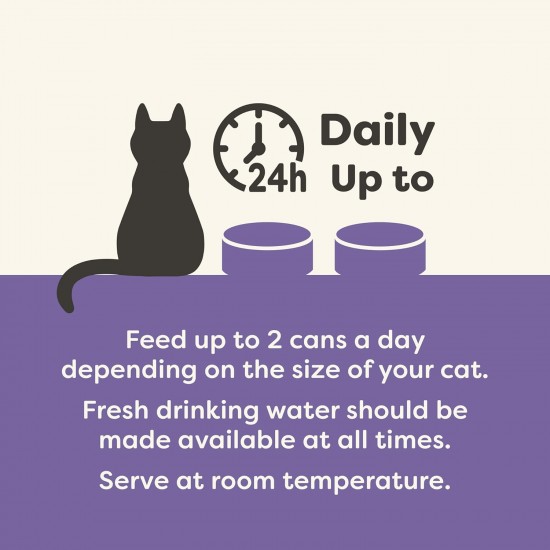Applaws 100% Natural Wet Adult Cat Food Chicken Breast with Shrimp in Broth 24×70g Cans Applaws 100% Natural Wet Adult Cat Food Chicken Breast with Shrimp in Broth 24×70g Cans