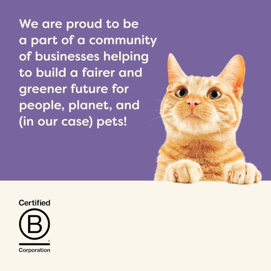 Applaws 100% Natural Wet Cat Food 70g Mackerel 24 x 70g Tins Applaws 100% Natural Wet Cat Food 70g Mackerel 24 x 70g Tins